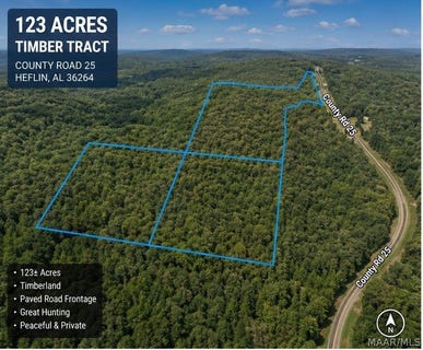 /international/us/county-road-25-heflin-al-110108059621/