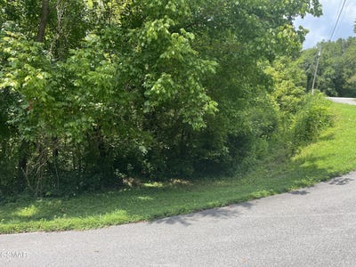 /international/us/lot-8-indian-gap-circle-sevierville-tn-110101313956/?lang=zh-tw