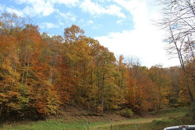 /international/us/477-west-brown-road-martha-ky-110102732537/