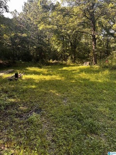 /international/us/300-hub-lee-road-lot-4-columbiana-al-110108679370/