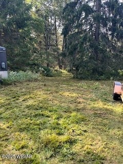 /international/us/1050-old-bernice-road-mildred-pa-110108348538/