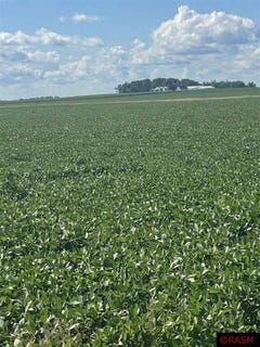 /international/us/xxx-437th-avenue-delavan-mn-110101138568/?lang=zh-cn
