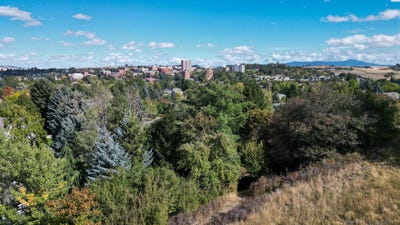/international/us/620-se-crestview-dr-pullman-wa-110102817595/