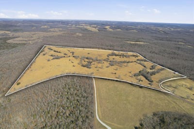 /international/us/state-highway-d-tract-1-thornfield-mo-110106125106/
