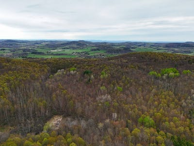/international/us/00wp-podpadic-rd-richmondville-ny-110107858934/