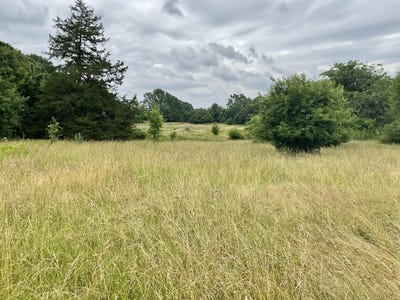 /international/us/tbd-n-farm-road-71-bois-d-arc-mo-110100305911/