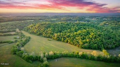 /international/us/4045-south-mohawk-road-midway-tn-110101136345/