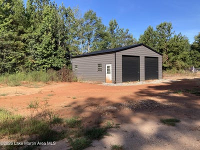 /international/us/highway-49-s-dadeville-al-110110128010/