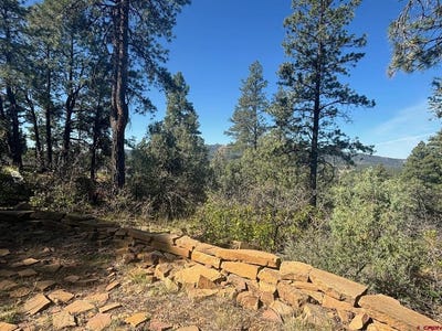 /international/us/878-west-view-road-pagosa-springs-co-110108360730/