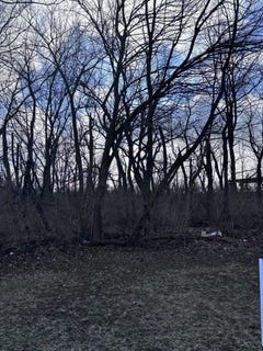 /international/us/1859-erin-lane-morris-il-110103394663/