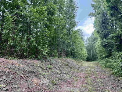 /international/us/18-acres-tbd-driffin-ln-salters-sc-110108467123/