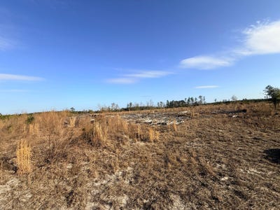/international/us/festival-trail-road-salley-sc-110109120751/