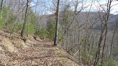 /international/us/0-upper-back-creek-road-monterey-va-110100688860/