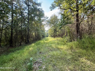 /international/us/5450-jernigan-road-liberty-ms-110102921226/