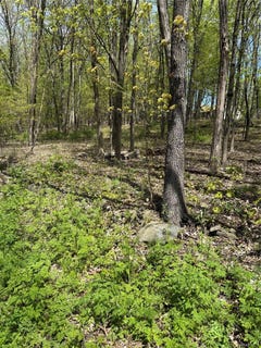 /international/us/120-floyd-ackert-road-esopus-ny-110108209284/