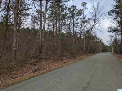 /international/us/county-road-183-lot-1-haleyville-al-110109210813/