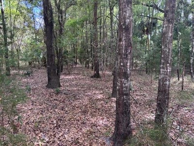 /international/us/1-77-acr-nw-73rd-st-chiefland-fl-110107034923/