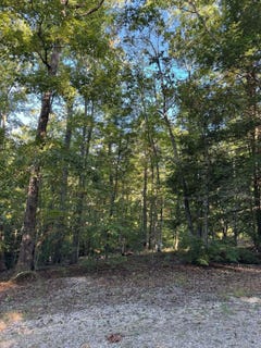 /international/us/turkey-ridge-road-lot-50-wellington-ky-110120458549/
