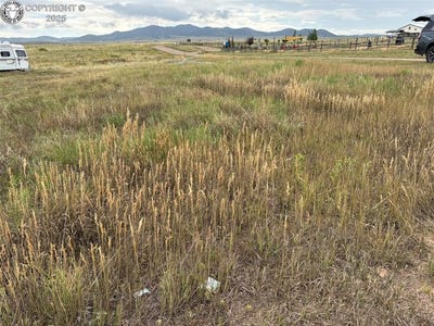 /international/us/207-butler-street-silver-cliff-co-110101931365/