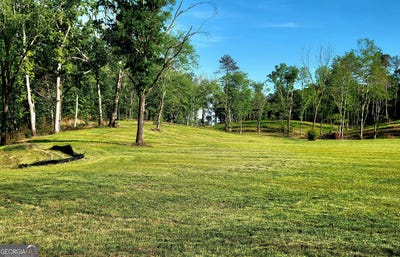 /international/us/80-mundy-road-rydal-ga-110110231405/