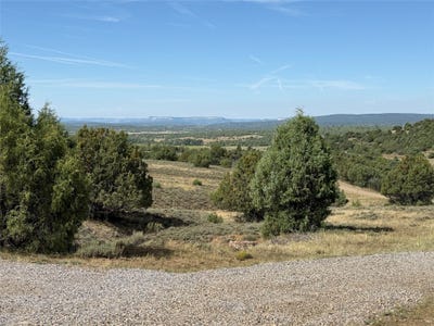 /international/us/196-cr-341-chama-nm-110101436482/?lang=zh-cn