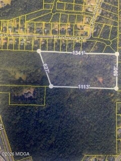 /international/us/294-oakridge-drive-forsyth-ga-110120455856/