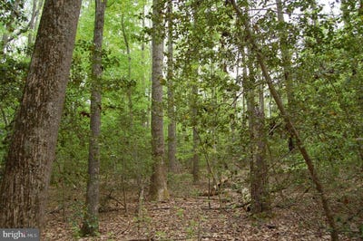 /international/us/000-tidewater-trail-rappahannock-academy-va-110099098488/