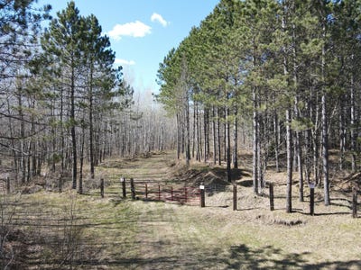 /international/us/tbd-164-21ac-maple-grove-road-cloquet-mn-110108149890/