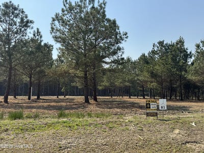 /international/us/100-cutter-bay-s-street-lot-81-stonewall-nc-110105311155/