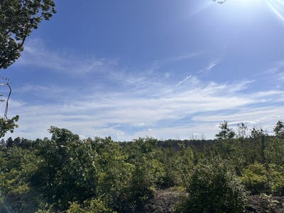 /international/us/0-mt-holly-rd-montrose-va-110099789348/