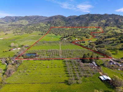 /international/us/10950-bachelor-valley-road-witter-springs-ca-110099028099/