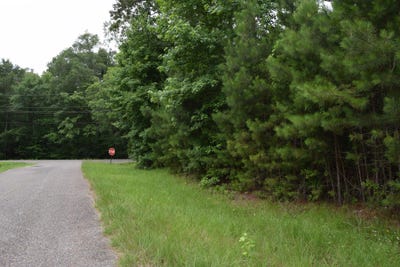 /international/us/208-palmetto-drive-doyline-la-110104625508/