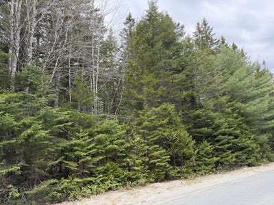 /international/us/2-c-gouldsboro-point-road-gouldsboro-me-110108062902/