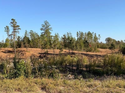 /international/us/parcel-3-haglersville-rd-mansfield-tn-110120084965/