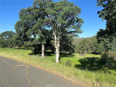 /international/us/19600-nicholas-lane-middletown-ca-110099070897/
