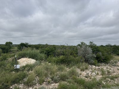 /international/us/87-palomino-hls-uvalde-tx-110081870821/