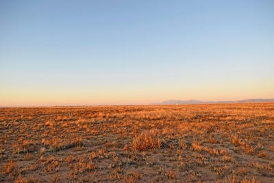 /international/us/rio-del-oro-los-lunas-nm-110094394818/