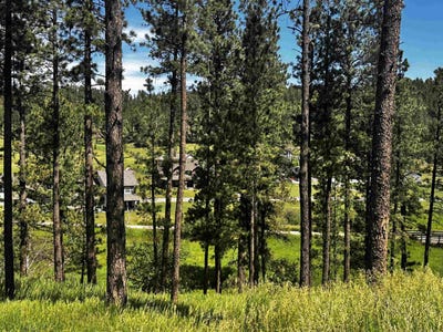 /international/us/block-7-lot-5-hill-city-sd-110100768955/