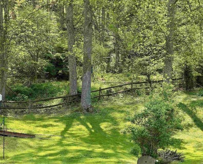 /international/us/94-95-96-crystal-lake-west-union-wv-110107614268/