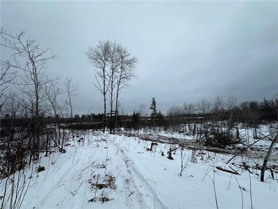 /international/us/tbd-2-koecher-road-kerrick-mn-110104408085/
