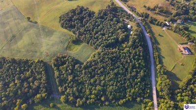 /international/us/10120-hodgenville-road-summersville-ky-110093438187/