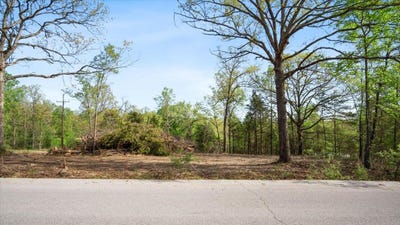 /international/us/250-vin-villa-forsyth-mo-110091558742/