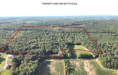 /international/us/kirk-trail-holladay-tn-110093056280/
