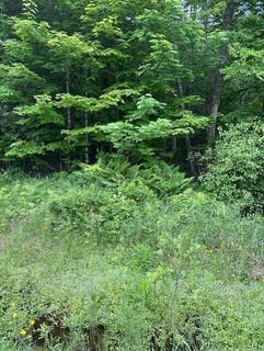 /international/us/3-3-a-avenue-road-corinth-me-110100339089/