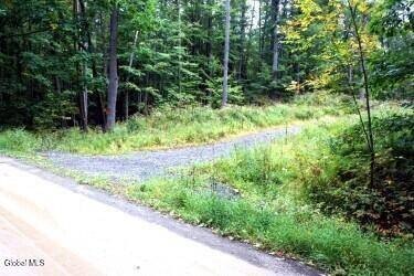 /international/us/l30-4-old-gale-hill-road-new-lebanon-ny-110120409194/