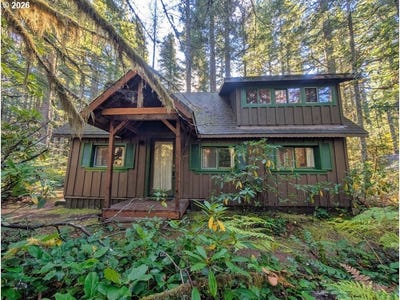 /international/us/78880-e-rd-34-lot-42-rhododendron-or-110107633163/