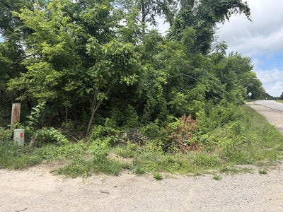 /international/us/ward-street-birch-tree-mo-110108979567/