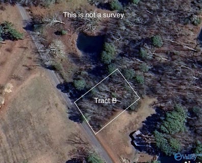 /international/us/tract-b-hammonds-road-fyffe-al-110104586048/