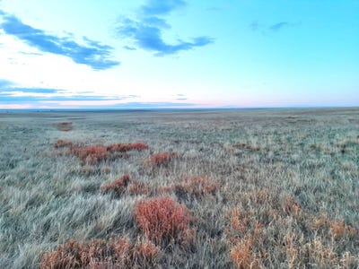 /international/us/tbd-56th-ave-deer-trail-co-110107966228/
