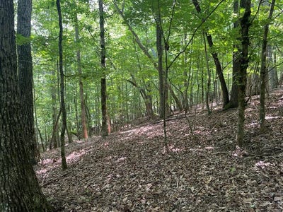 /international/us/lot-11-brumby-run-blairsville-ga-110108493842/